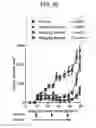 Fig. 45 - PROSTATE-ASSOCIATED ANTIGENS AND VACCINE-BASED IMMUNOTHERAPY REGIMENS