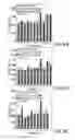 Fig. 06 - METHODS FOR PRODUCING HIGH CONCENTRATION LYOPHILIZED PHARMACEUTICAL FORMULATIONS