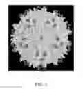 Fig. 02 - Adeno-associated virus virions with variant capsid and methods of use thereof
