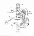 Fig. 27 - DEVICES AND METHODS FOR TREATING THE GASTROINTESTINAL SYSTEM