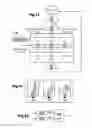 Fig. 08 - System for stimulation therapy of the vagus nerve by implementation of a state transition model