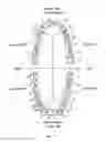 Fig. 09 - LIGHT WAVE TREATMENT INSTRUMENT AND METHODS OF USE