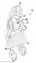 Fig. 01 - DANCE ENCOURAGING DOLL ASSEMBLY