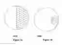 Fig. 02 - FILTER MEDIA AND METHODS OF PRODUCING THE SAME AND USES THEREOF