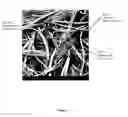 Fig. 09 - FILTER MEDIA AND METHODS OF PRODUCING THE SAME AND USES THEREOF