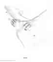 Fig. 09 - Barring-tool system and method