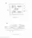 Fig. 02 - Abrasive particles having particular shapes and methods of forming such particles
