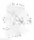 Fig. 07 - RATCHET WRENCH ABLE TO AUTOMATICALLY ADJUST ENGAGING TOOTH NUMBER ACCORDING TO EXTENT OF TORSION