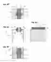 Fig. 06 - Exposure device and image forming apparatus