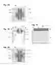 Fig. 07 - Exposure device and image forming apparatus