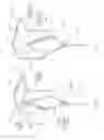 Fig. 03 - Chalk line