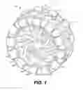 Fig. 02 - Omnidirectional pinion wheel