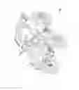 Fig. 02 - All-terrain vehicle