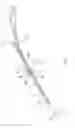 Fig. 02 - MEMBER FOR A SYSTEM FOR CONNECTING A WINDSCREEN WIPER BLADE TO MULTIPLE WINDSCREEN WIPER ARMS