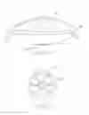 Fig. 02 - Aircraft with Rotating Outer Shell