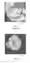 Fig. 02 - Moisture-resistant phosphor compositions and associate methods