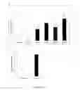 Fig. 02 - Modified gram positive bacteria and uses thereof