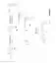 Fig. 02 - Functionally-modified oligonucleotides and subunits thereof
