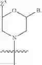 Fig. 131 - Functionally-modified oligonucleotides and subunits thereof