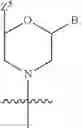 Fig. 167 - Functionally-modified oligonucleotides and subunits thereof