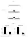 Fig. 03 - Micro-RNA inhibitor