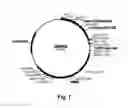Fig. 08 - Cellulolytic enzyme compositions and uses thereof