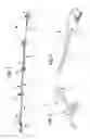 Fig. 02 - Laundry sock/garment snare