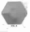 Fig. 10 - Vertical axis wind turbine