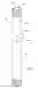 Fig. 06 - Water heater appliance