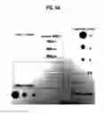 Fig. 08 - Method and system for three dimensional digital holographic aperture synthesis
