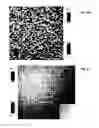 Fig. 09 - Method and system for three dimensional digital holographic aperture synthesis