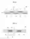 Fig. 06 - Display device
