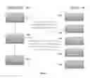 Fig. 02 - METHODS AND SYSTEMS FOR COMPARING AND MATCHING MEDICAL TREATMENT VERSUS DIAGNOSIS AND/OR OTHER INDICATORS RELATED TO MEDICAL TREATMENT AND/OR DIAGNOSIS