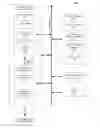 Fig. 01 - APPARATUS AND METHOD FOR VERIFYING THE INTEGRITY OF TRANSFORMED VERTEX DATA IN GRAPHICS PIPELINE PROCESSING