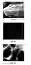 Fig. 06 - Ni(OH)2 nanoporous films as electrodes