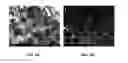 Fig. 07 - Ni(OH)2 nanoporous films as electrodes