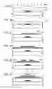 Fig. 03 - Semiconductor device including oxide semiconductor stacked layers