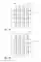 Fig. 06 - Wire-based metallization for solar cells