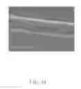 Fig. 11 - Epitaxial structure and method for making the same