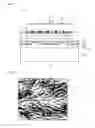Fig. 05 - Light emitting element and lighting device comprising same