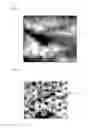 Fig. 06 - Light emitting element and lighting device comprising same