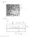 Fig. 07 - Light emitting element and lighting device comprising same