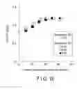 Fig. 12 - MANUFACTURING METHOD OF MAGNETORESISTIVE EFFECT ELEMENT AND MANUFACTURING APPARATUS OF MAGNETORESISTIVE EFFECT ELEMENT