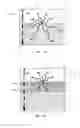 Fig. 08 - Thermal management structure for low-power nonvolatile filamentary switch