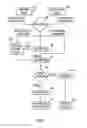Fig. 08 - Authentication for VLAN tunnel endpoint (VTEP)