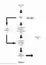 Fig. 06 - SYSTEM AND METHOD FOR DETECTING AND REPORTING SURREPTITIOUS USAGE