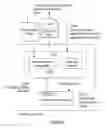 Fig. 06 - System and method for assessing vulnerability of a mobile device