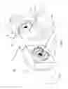 Fig. 08 - Camera module