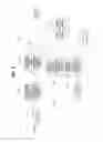 Fig. 06 - Image encoding and decoding apparatus, and image encoding and decoding method