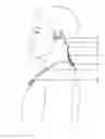 Fig. 01 - Neck-wearable communication device with microphone array